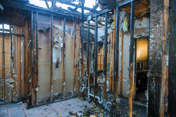 Professional Fire Damage Repair technician working in Trion, GA